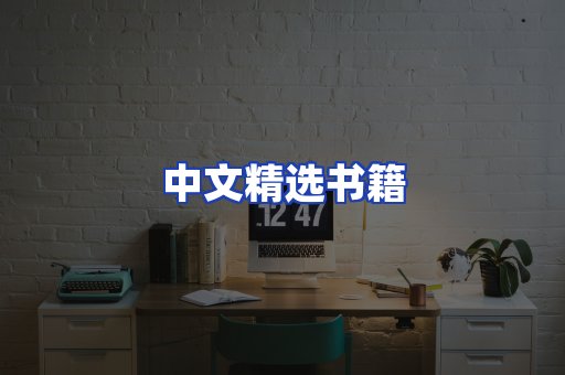 中文精选书籍